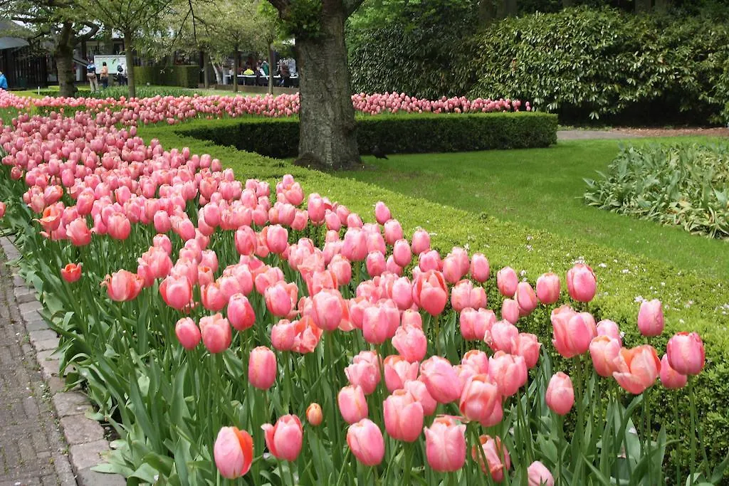 Floriande Stay Hoofddorp Bed & Breakfast